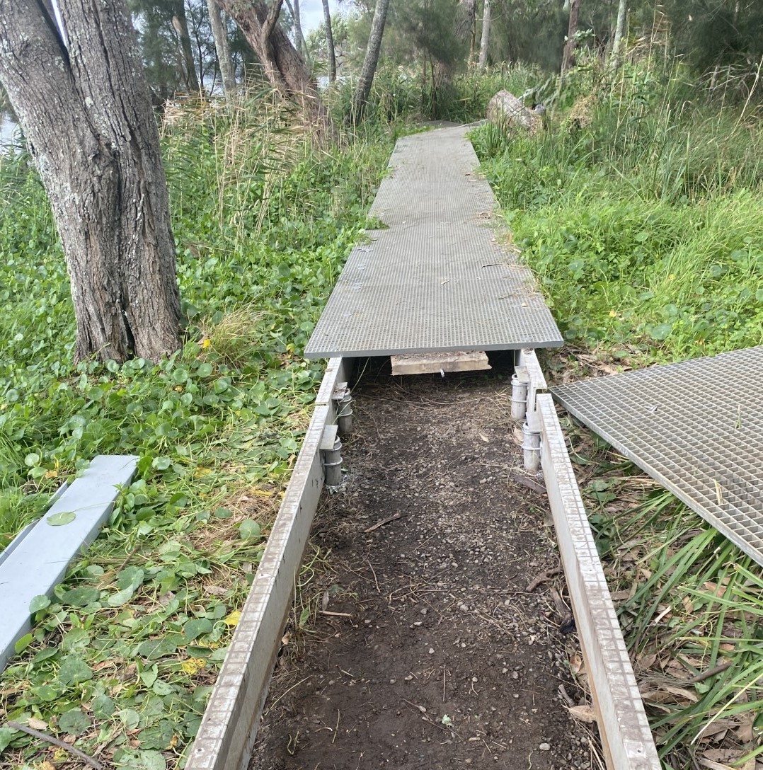 Basin Walk track in progress