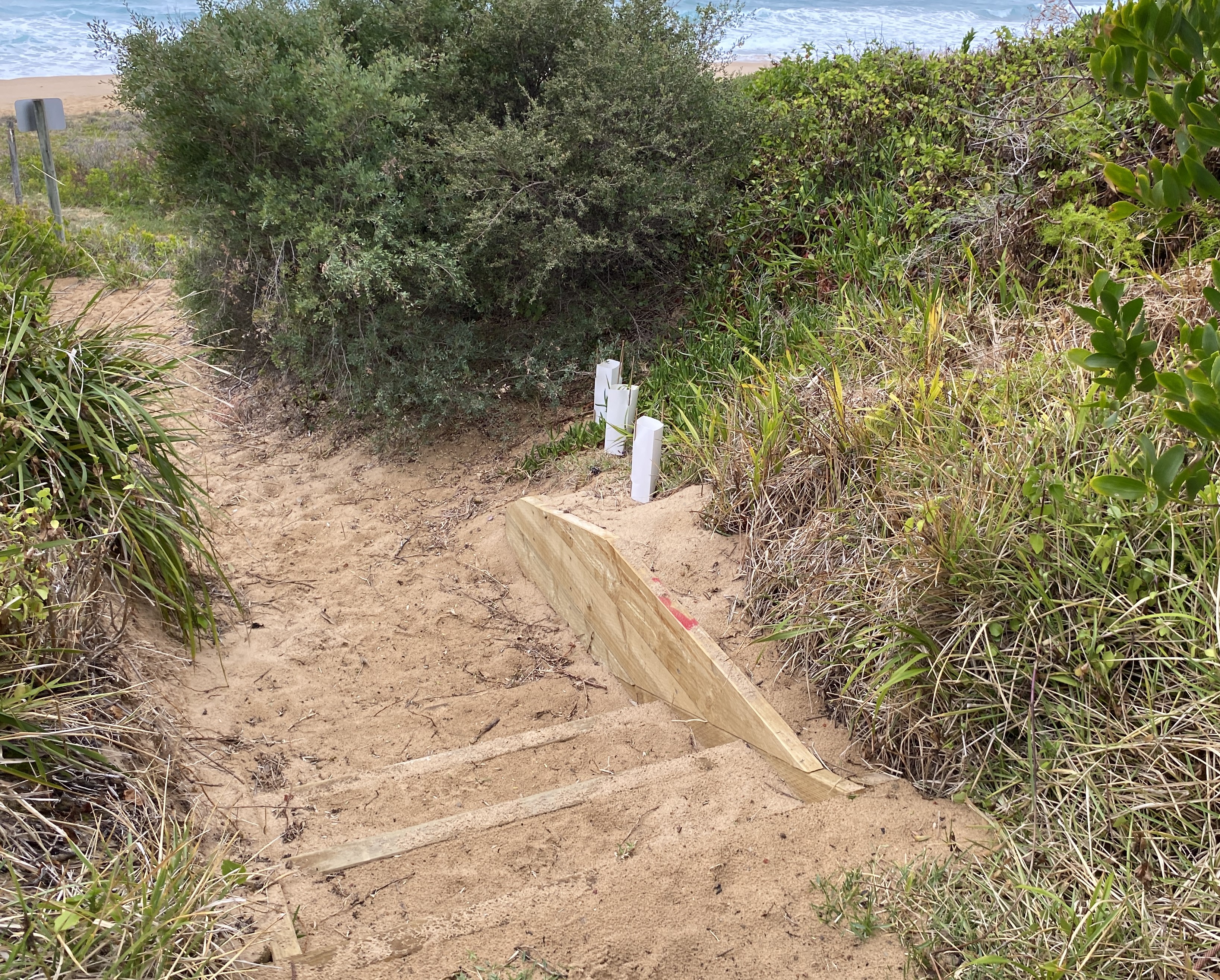 Beach access stairs