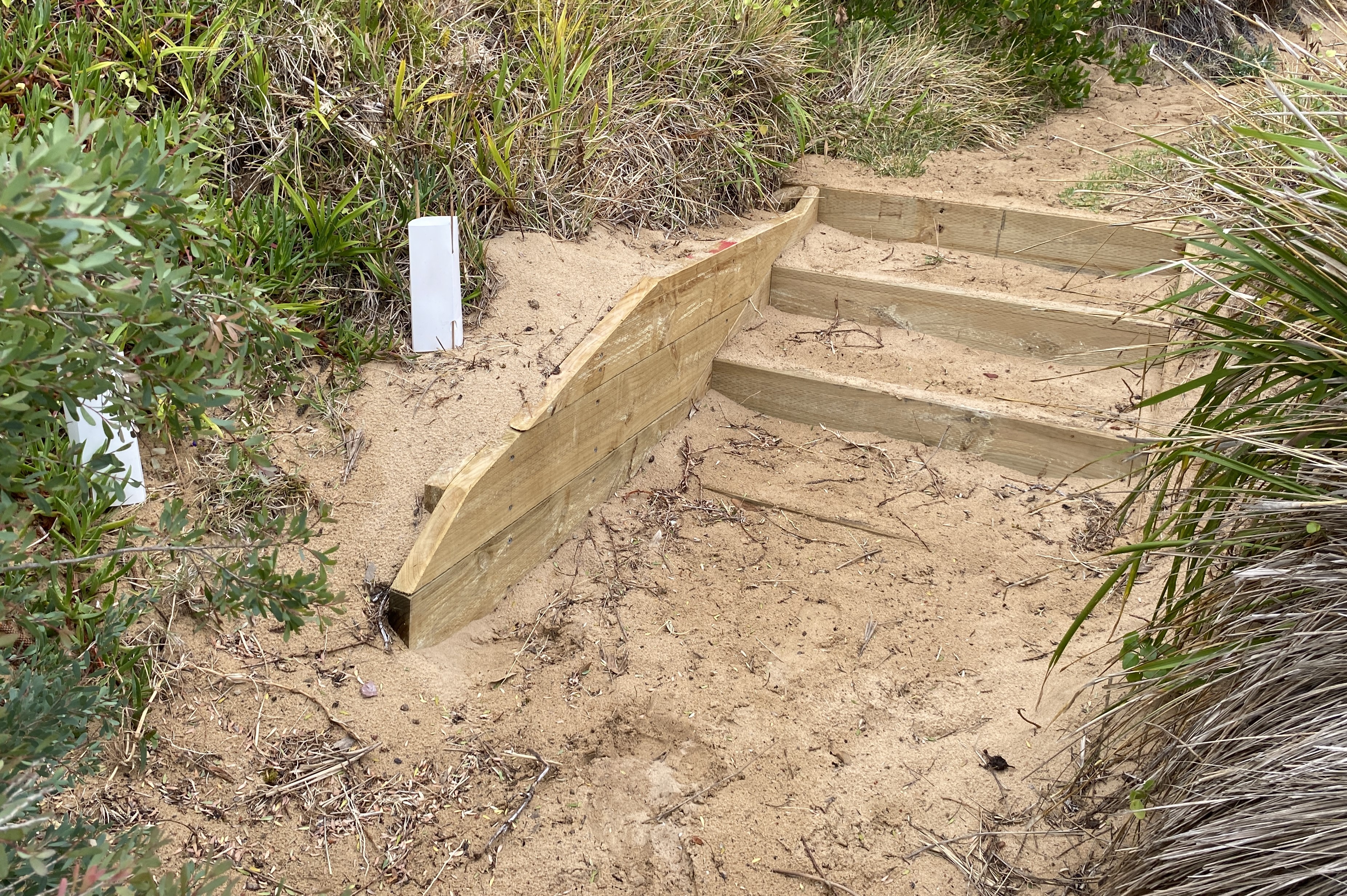 Beach access steps