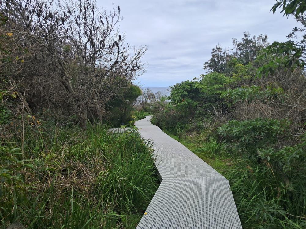 Boardwalk to viewing platform.jpg