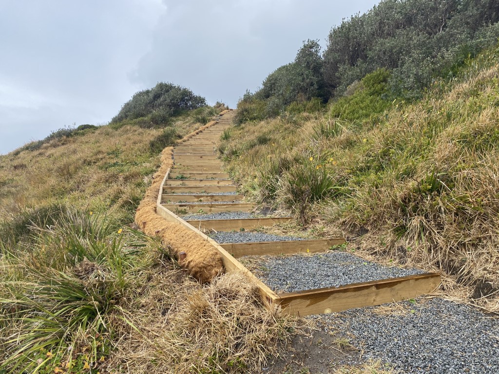 Steps at Blackburn Headland