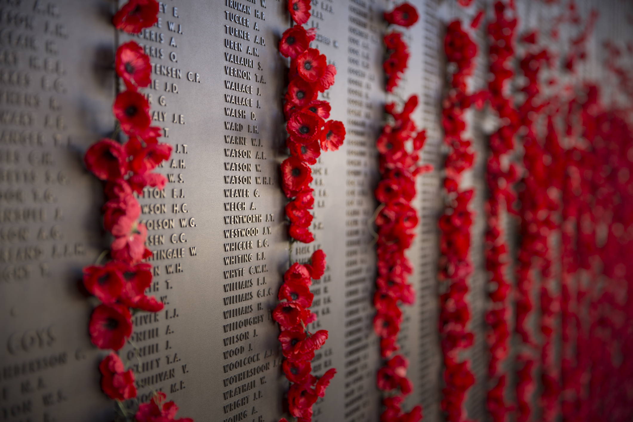 anzac iStock-1125736631.jpg