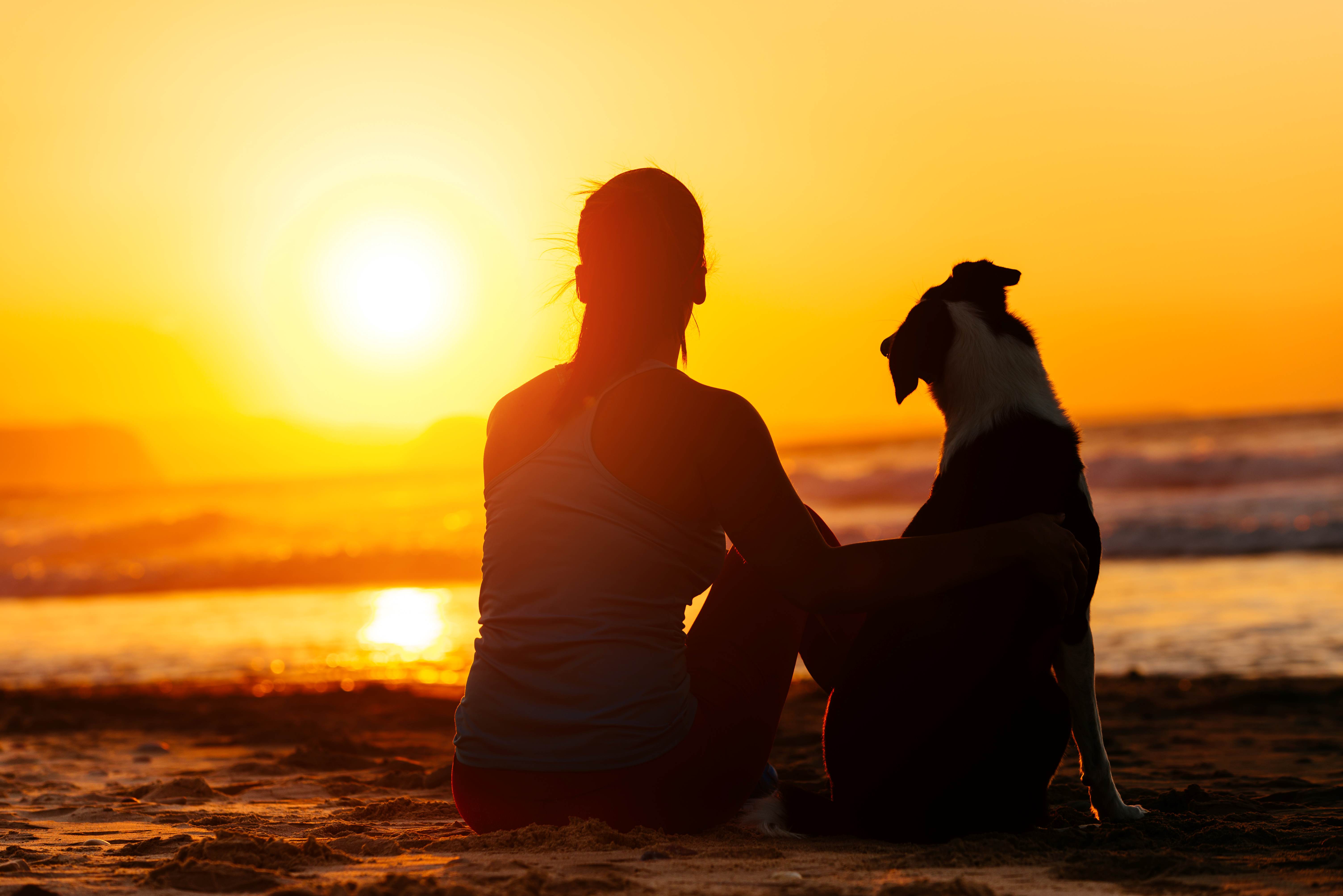 dog sunset woman low res iStock-1278955567.jpg