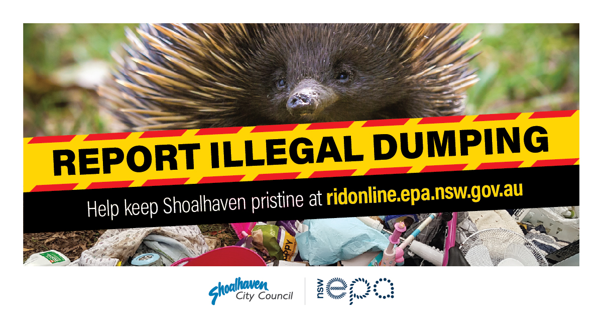 How To Report Illegal Waste Dumping | Shoalhaven City Council