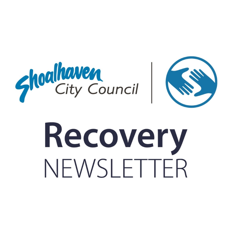 recovery newsletter.PNG